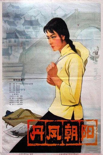 A Embroider Maiden (1980) poster