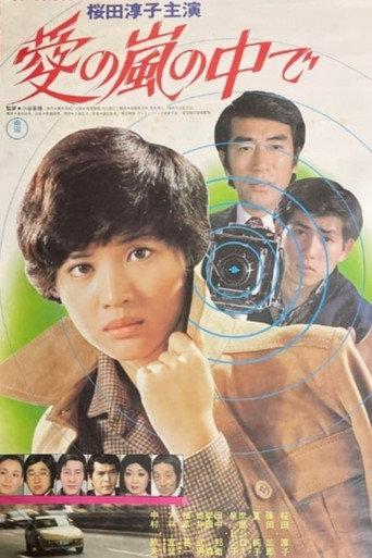 Inside the Storm of Love (1978) poster