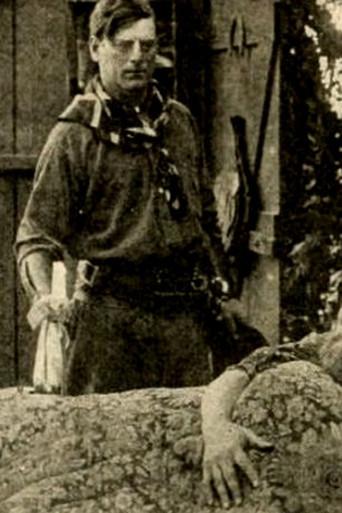 Broncho Billy and the Outlaw's Mother (1913) poster