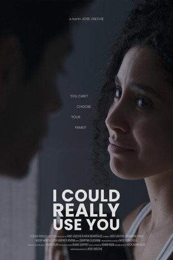 I Could Really Use You () poster