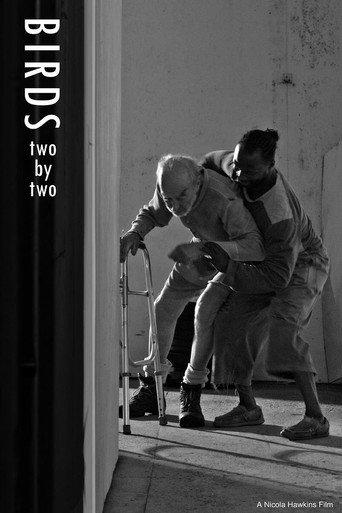 Birds Two by Two (2025) poster