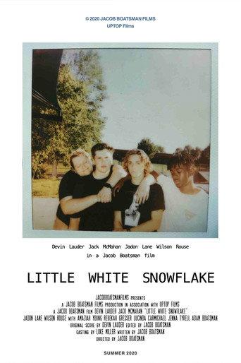 Little White Snowflake (2020) poster