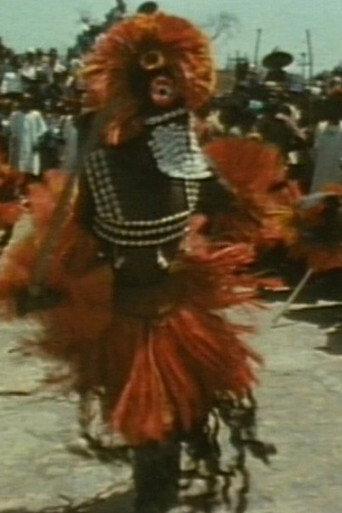 Tracking the Pale Fox: Studies on the Dogon (1983) poster