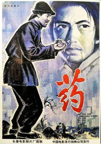 Medicine (1981) poster