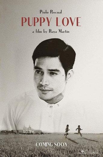 Puppy Love () poster