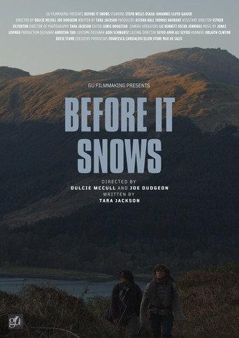 Before It Snows (2025) poster