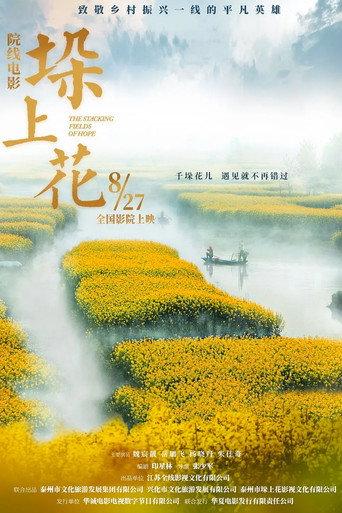 垛上花 () poster