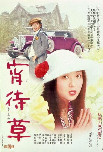 Evening Primrose (1974) poster