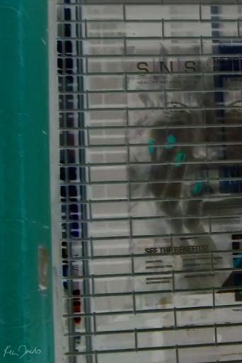 Storefront (2020) poster