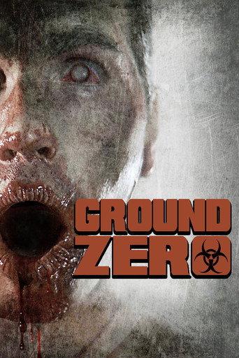 Ground Zero (2010) poster