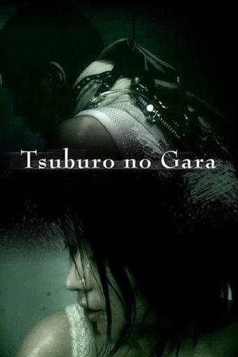 Tsuburo no Gara (2004) poster