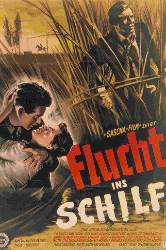 Brutality (1953) poster