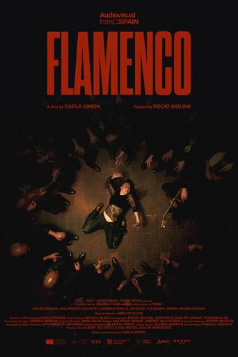 FLAMENCO (2026) poster