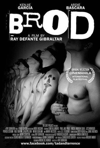 Brod (2010) poster