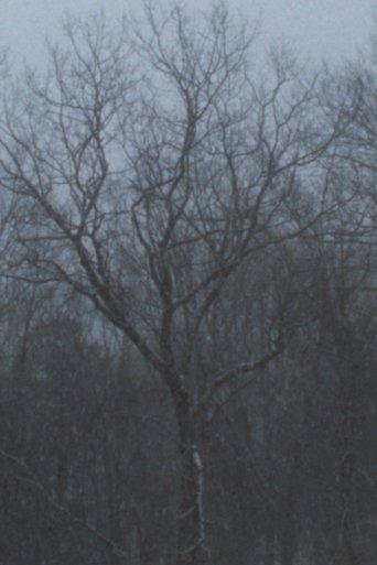 Snowfall (2022) poster