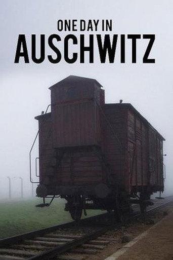 Auschwitz - One Day (2020) poster