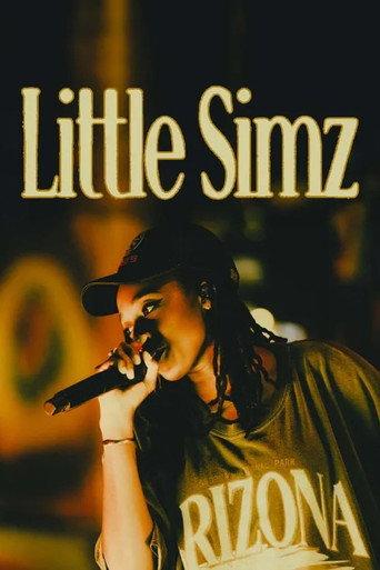 Little Simz at the Atelier des Lumières (2025) poster