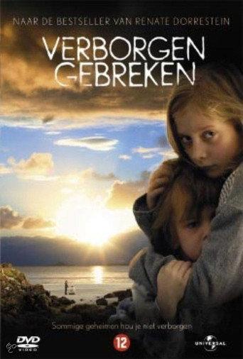 Hidden Flaws (2004) poster