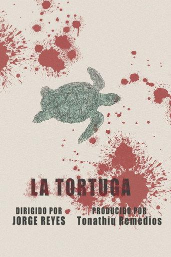 The Turtle (2025) poster