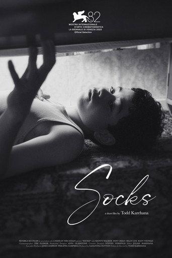 Socks (2026) poster