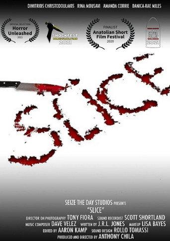 Slice (2020) poster