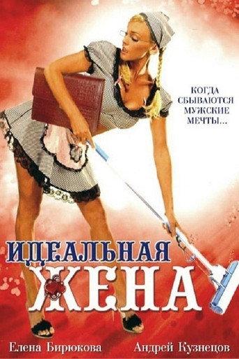 The Perfect Wife (2007) poster