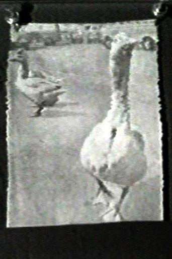 The Meaning of Various News Photos to Ed Henderson (1973) poster