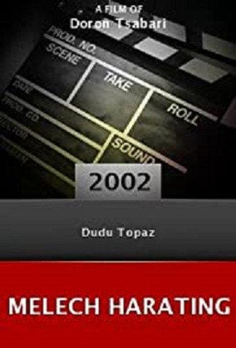 מלך הרייטינג (2002) poster