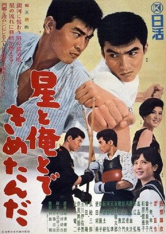 The Stars and I Decided... (1965) poster