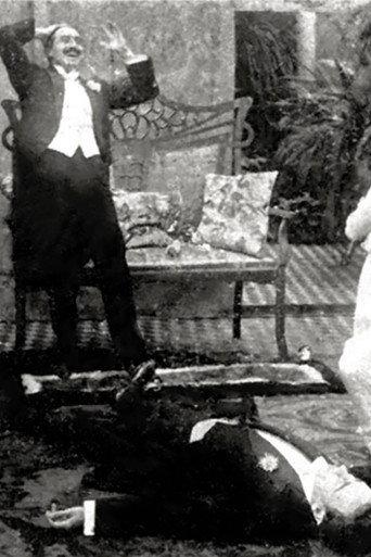 Del Manicomio al Matrimonio (1913) poster