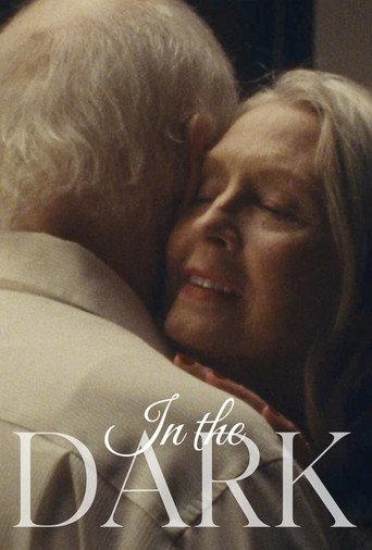 In The Dark () poster