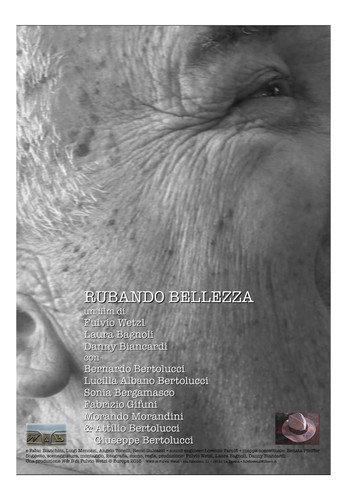 Rubando Bellezza (2015) poster