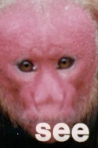 Monkey See, Monkey Do: Verbs (1971) poster