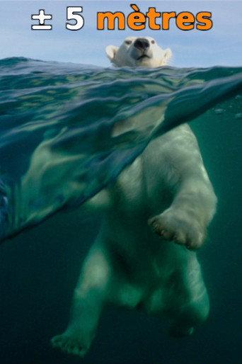 ± 5 Meters From the Surface of the Oceans (2015) poster