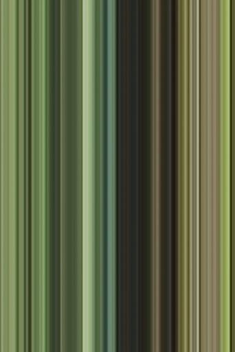 Été (summer / has been) (2007) poster