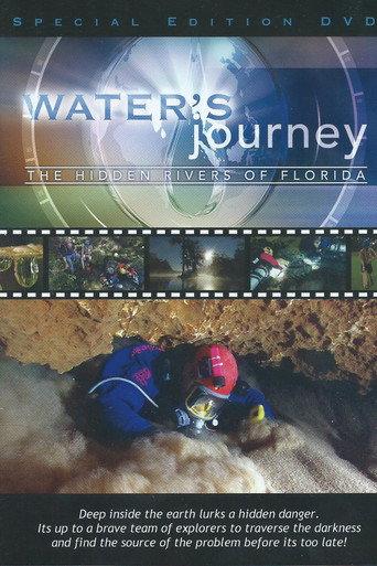 Water's Journey: The Hidden Rivers of Florida () poster