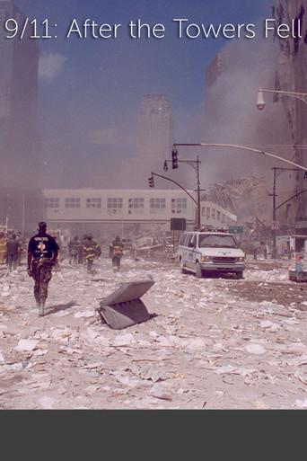 9/11: After The Towers Fell (2010) poster