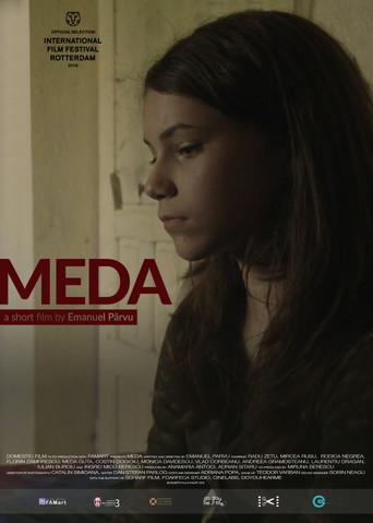 Meda (2016) poster