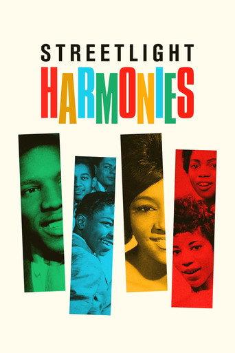 Streetlight Harmonies (2020) poster