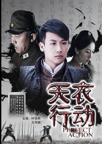 天衣行动 (2011) poster