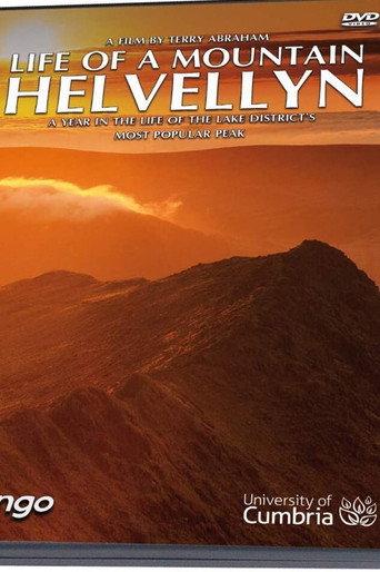 A Year on Helvellyn (2021) poster