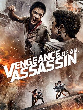 Vengeance of an Assassin (2014) poster