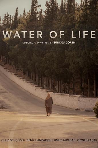 Water of Life (2023) poster