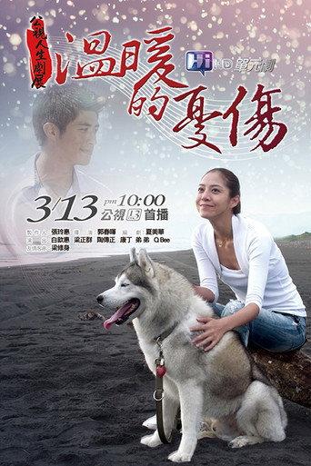 Wen Nuan De You Shang (2011) poster