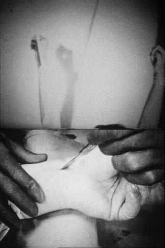 Blicklust (1992) poster