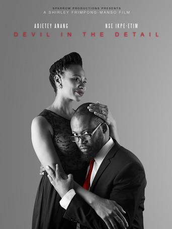 Devil in the Detail (2014) poster