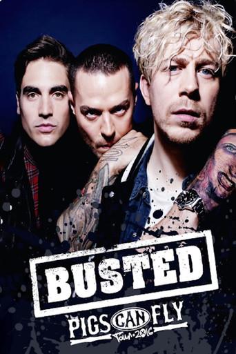 Busted: Pigs Can Fly Tour 2016 (2018) poster