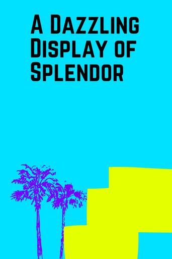 A Dazzling Display of Splendor () poster