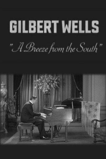 A Breeze from the South (1928) poster