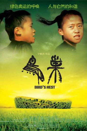 Bird's Nest (2008) poster